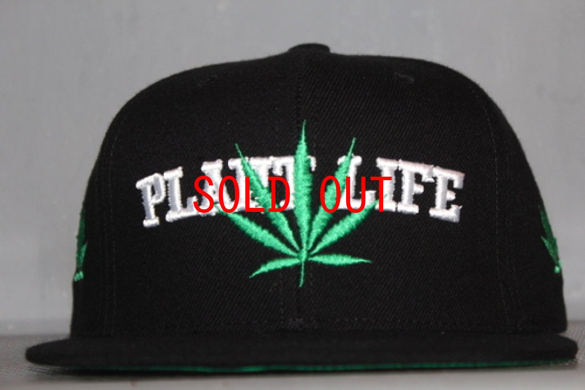 画像1: Godly(ゴッドリー) Plant Life Snapback Cap スナップバック キャップ (1)