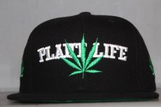 画像1: Godly(ゴッドリー) Plant Life Snapback Cap スナップバック キャップ (1)