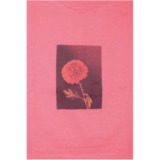 画像1: Time Line(タイムライン) Truth S/S Tee Light Pink 半袖 Tシャツ (1)