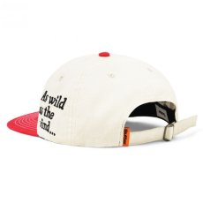 画像3: Butterfly 6 Panel Cap バタフライ パネル キャップ 帽子 (3)