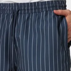 画像5: Slater Pinstripe Swim Trunks NVY 水陸両用 ストライプ スイム トランクス ショーツ パンツ (5)