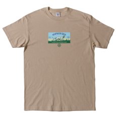 画像2: Pointer S/S Tee 半袖 Tシャツ (2)