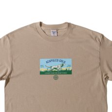 画像4: Pointer S/S Tee 半袖 Tシャツ (4)