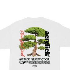 画像5: Seeds S/S Tee WHT 半袖 Tシャツ (5)