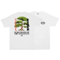 画像1: Seeds S/S Tee WHT 半袖 Tシャツ (1)