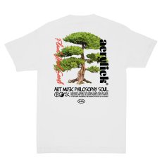 画像3: Seeds S/S Tee WHT 半袖 Tシャツ (3)